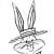 bugs bunny